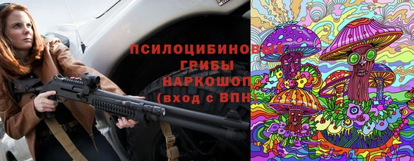 прущий лед Алзамай