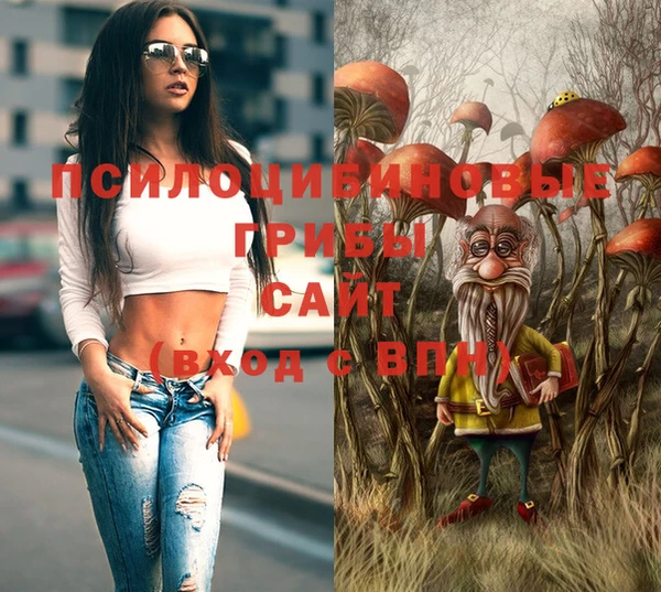 прущий лед Алзамай