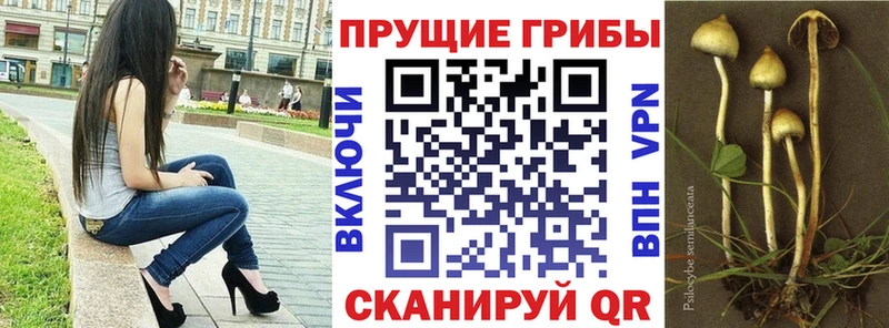 ОМГ ОМГ ONION  маркетплейс состав  Находка  Галлюциногенные грибы MAGIC MUSHROOMS  дарнет шоп 