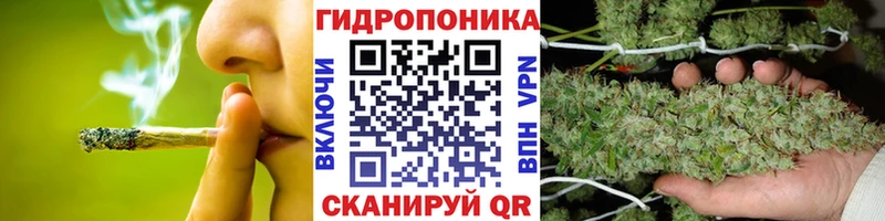 Конопля SATIVA & INDICA  omg ONION  Находка 